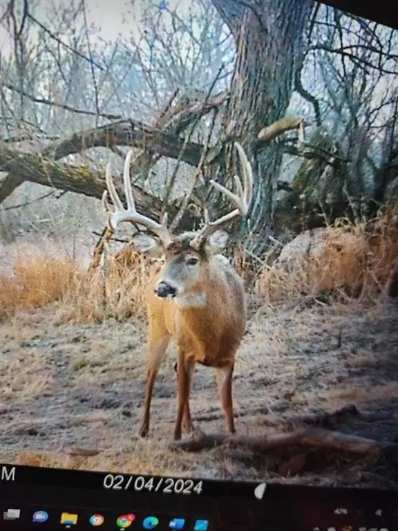 N3953-89 Bear Pen Road, Arkansaw, WI 54721