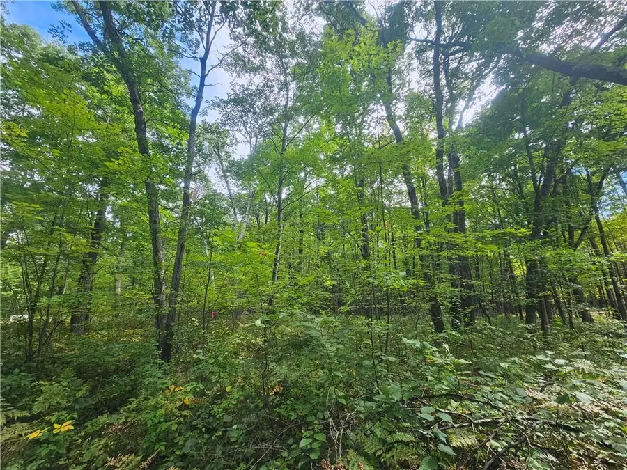 Lot 5 Ken Can Lane, Webster, WI 54893 - Image #3