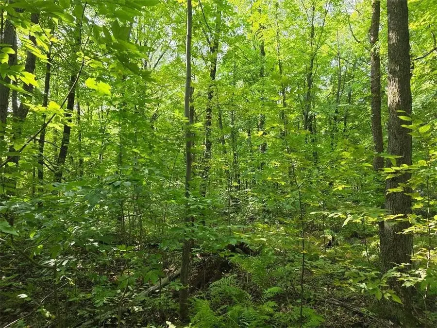 00 30th, Cumberland, WI 54829 - Image #3