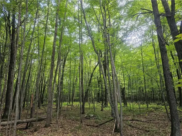 Lot 6 Ken Can Lane, Webster, WI 54893