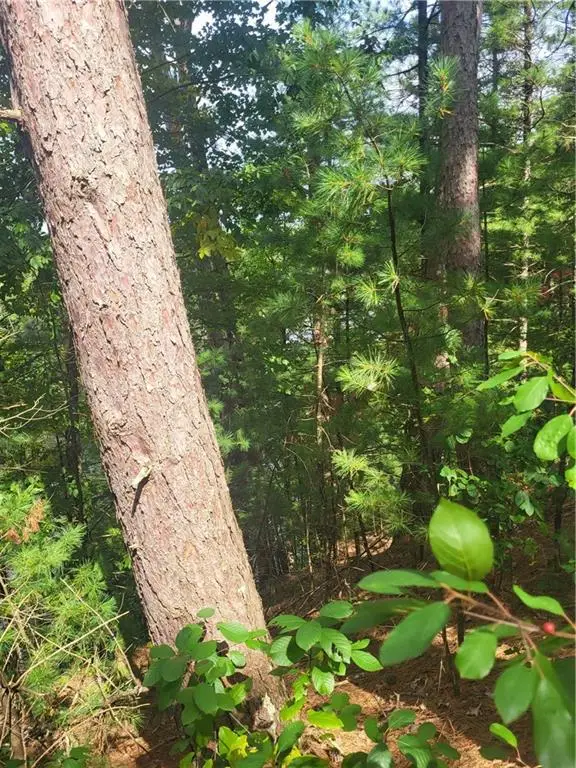 Lot 2 Betty Lane, Black River Falls, WI 54615 - Image #1