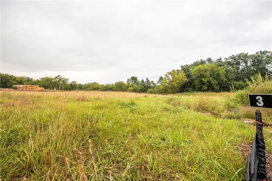 Lot 3 Mertinke Landing, Eleva, WI 54738 - Image #3