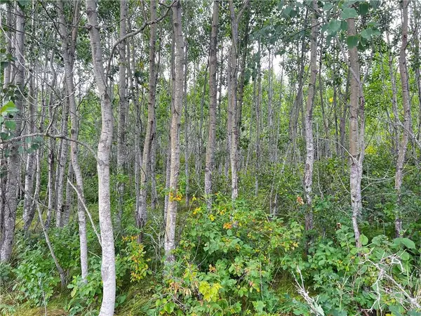 Lot 1 County Road T, Wascott, WI 54838