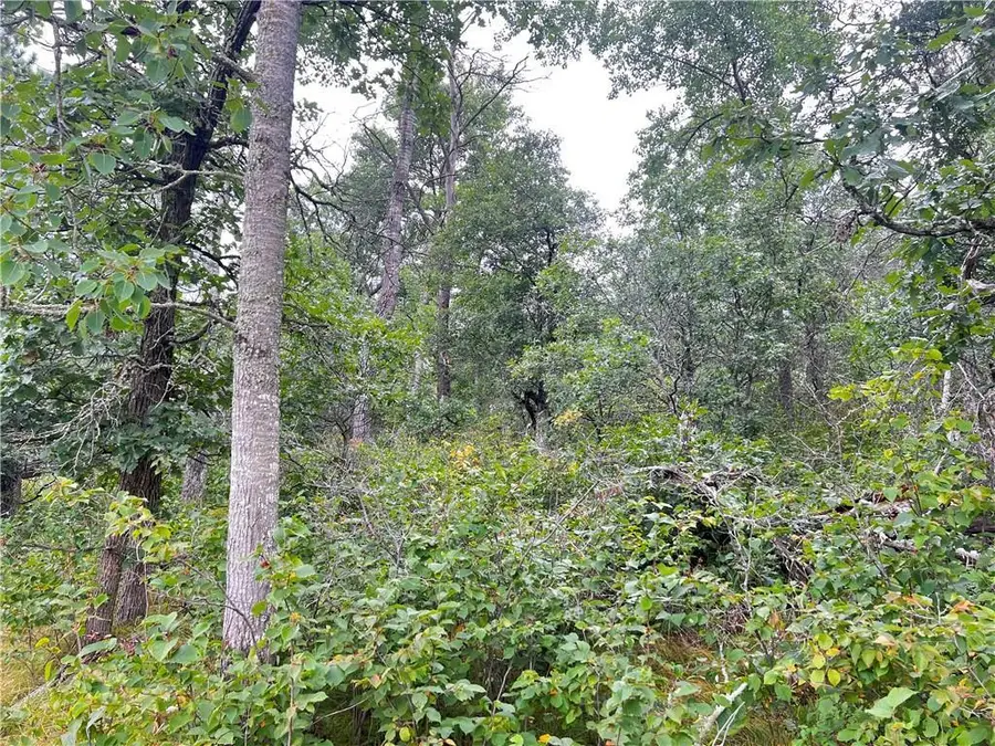Lot 1 County Road T, Wascott, WI 54838 - Image #3