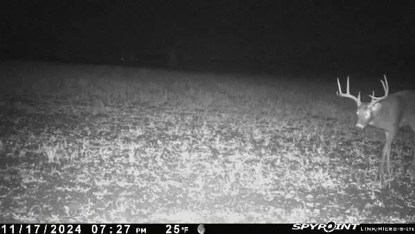 E21504 Karow Road, Augusta, WI 54722