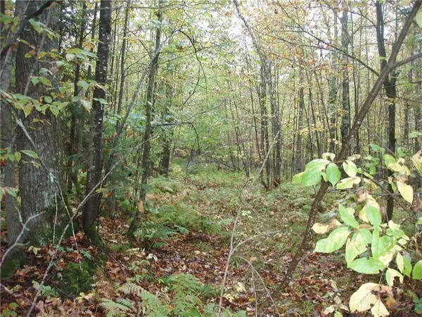 80+/- Acres On Bass Lake Road, Park Falls, WI 54552