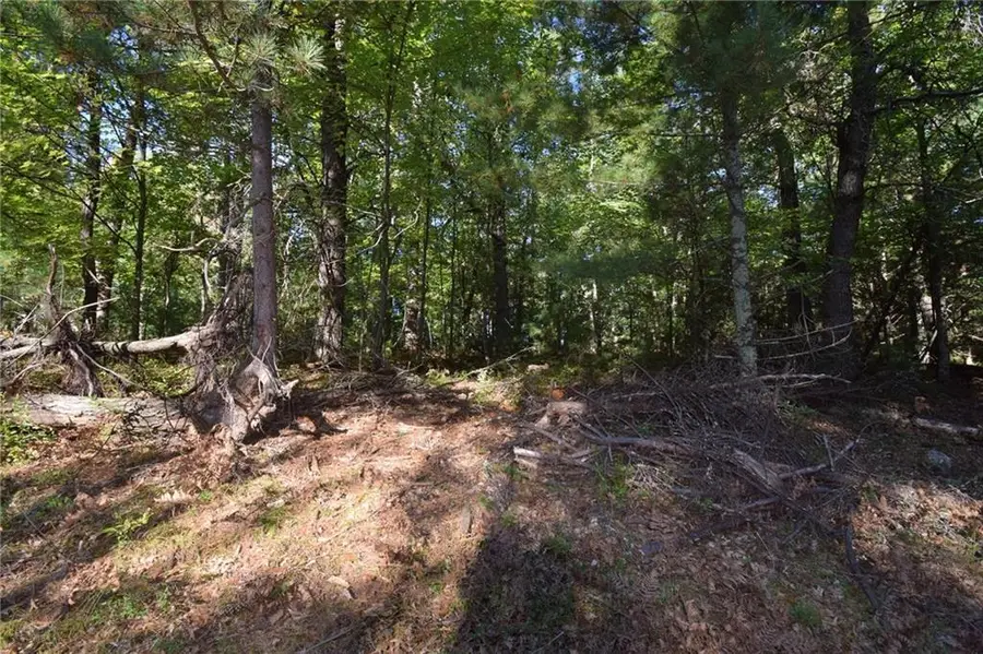 xxx Redwing Trwy, Danbury, WI 54830 - Image #3