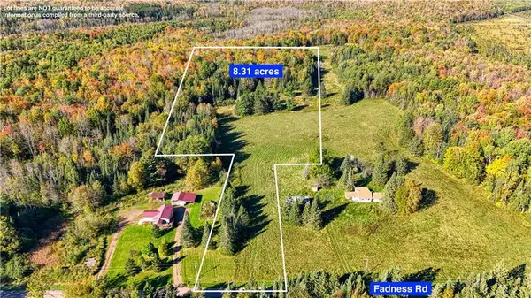 8.31 acres on Fadness Rd, Winter, WI 54896