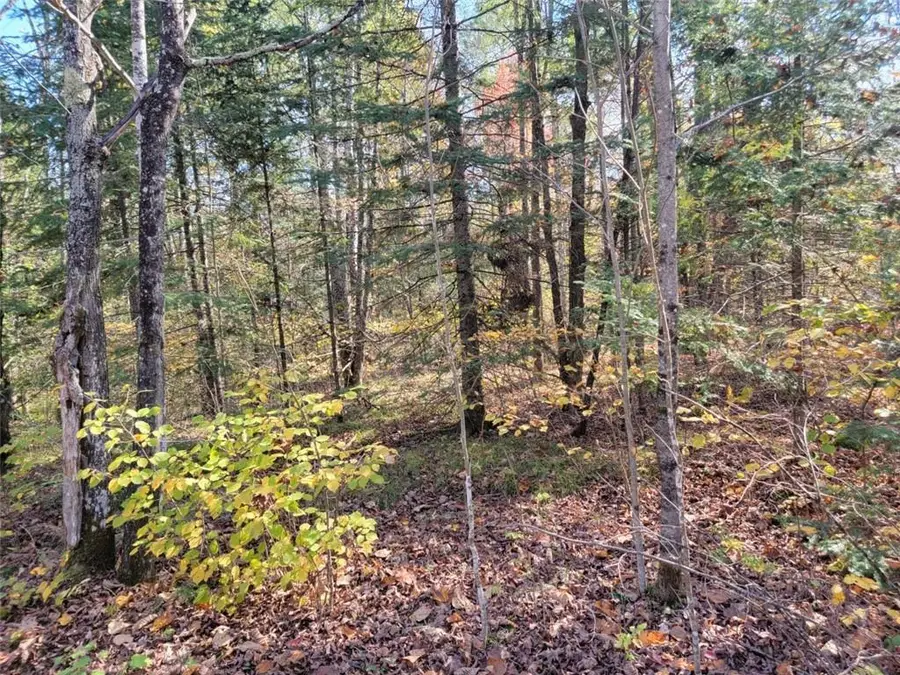 3789W Indian Way, Loretta, WI 54896 - Image #3