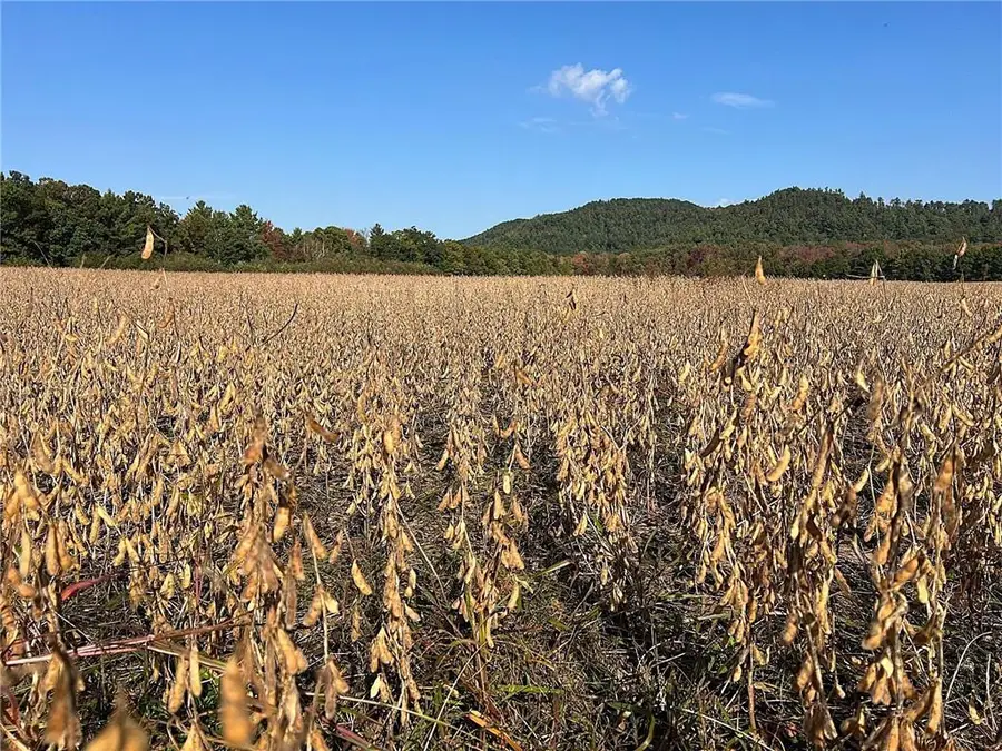 TBD Bruce Mound Avenue, Merrillan, WI 54754 - Image #2