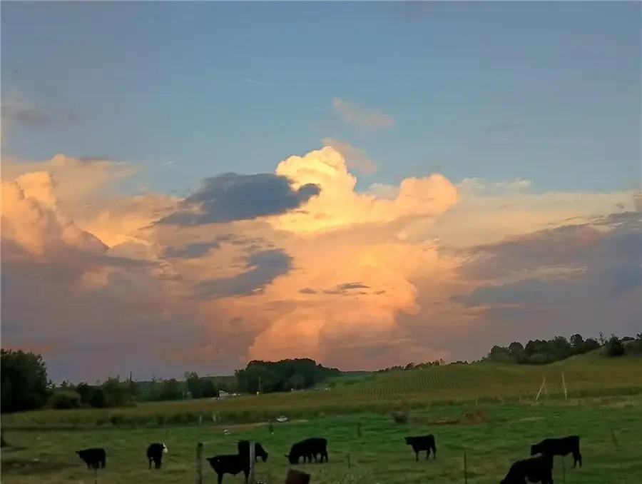 1919 County Road Fw Road, Eleva, WI 54738 - Image #3