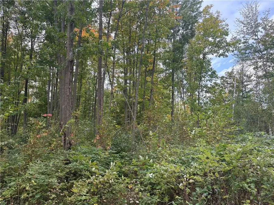 0 10 1/2, Barron, WI 54812 - Image #2