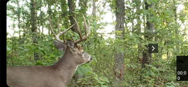 XX153 River Road, St Croix Falls, WI 54024