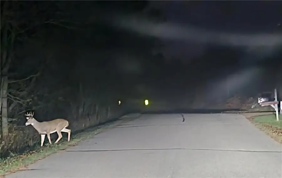 W11601 Sand Road, Merrillan, WI 54754 - Image #2