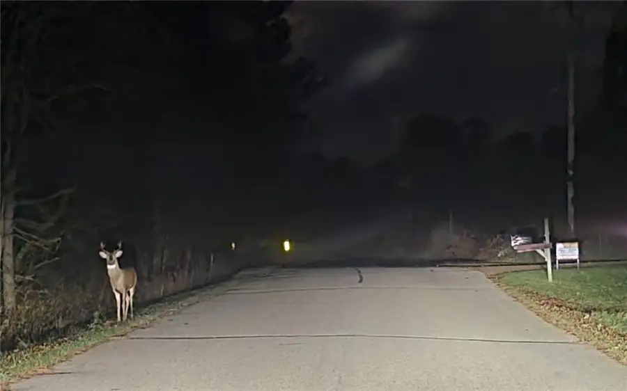 W11601 Sand Road, Merrillan, WI 54754 - Image #3