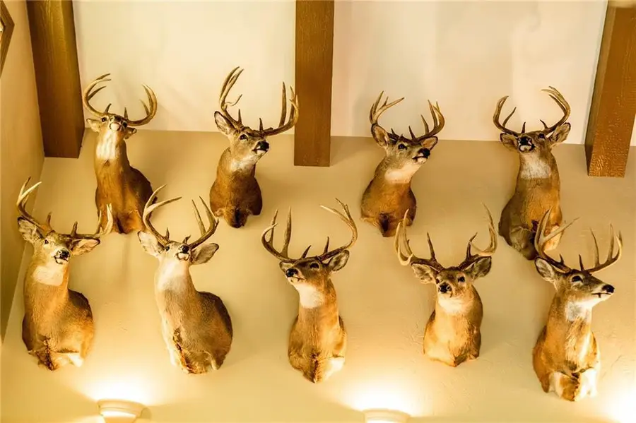 000 Padre, Wittenberg, WI 54499 - Image #2