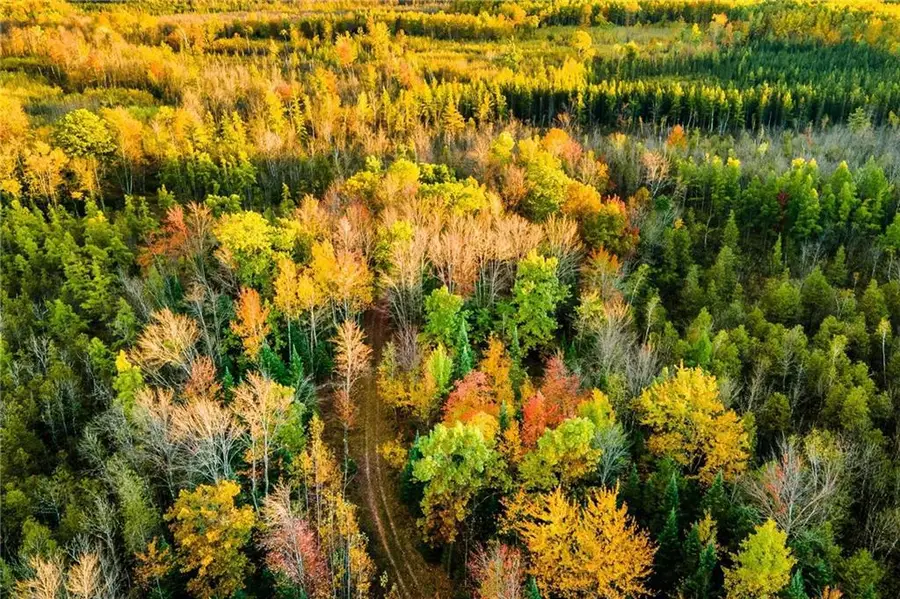 000 Padre, Wittenberg, WI 54499 - Image #3