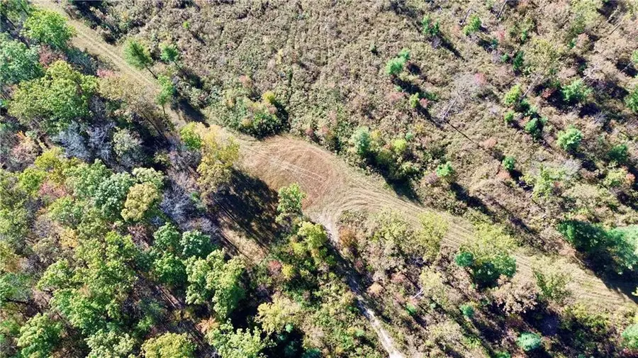 0 Sherwood Road, Pittsville, WI 54466 - Image #2