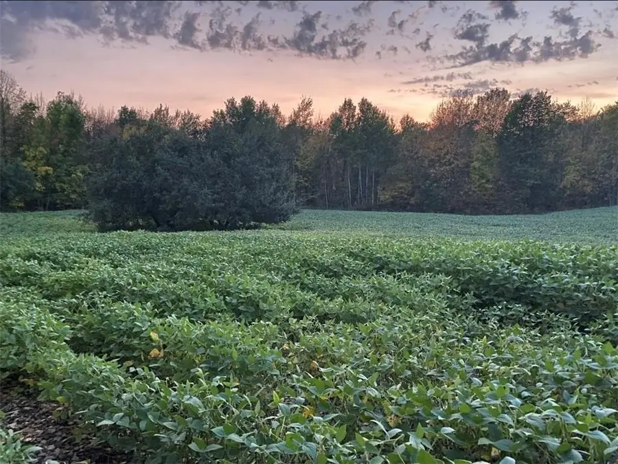 xxx County Road D, Estella, WI 54732 - Image #2