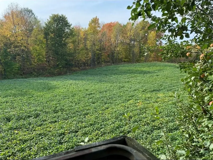 xxx County Road D, Estella, WI 54732 - Image #3