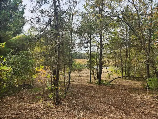 Lot 1 & 2 of CSM 1548 County Road  F, Chetek, WI 54728