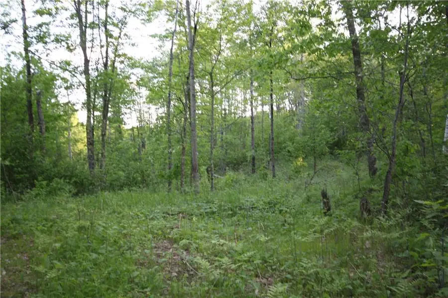 Lot  1 Timber Wolf Drive, Springbrook, WI 54875 - Image #3