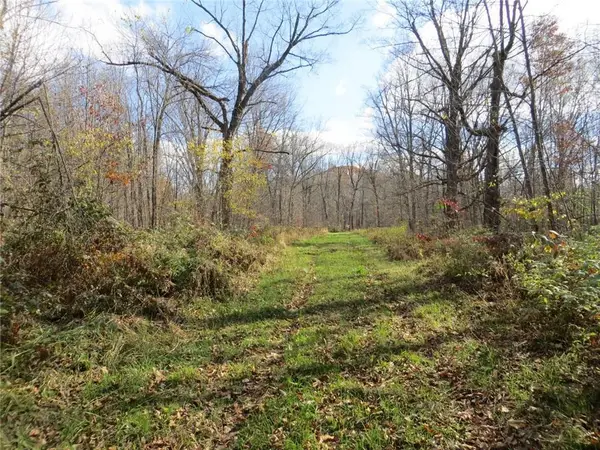 xxx Castle Oaks Ln, Thorp, WI 54771