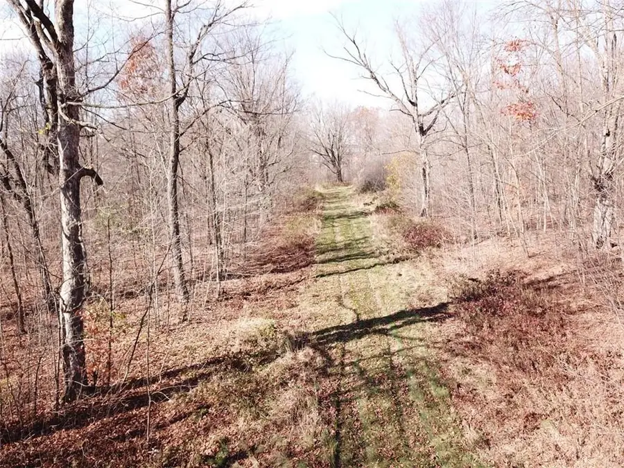 xxx Castle Oaks Ln, Thorp, WI 54771 - Image #3