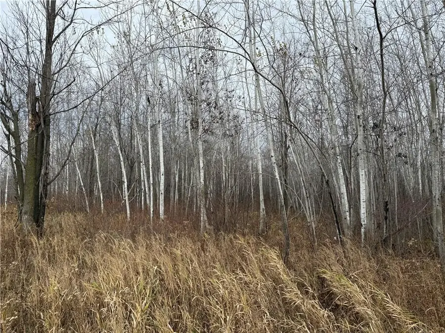 0000 woody lane, Gilman, WI 54433 - Image #3