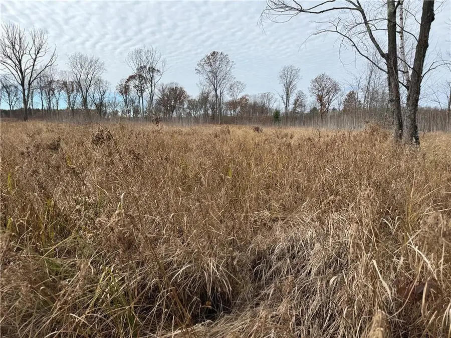 OOO COUNTY RD. W, Granton, WI 54436 - Image #2