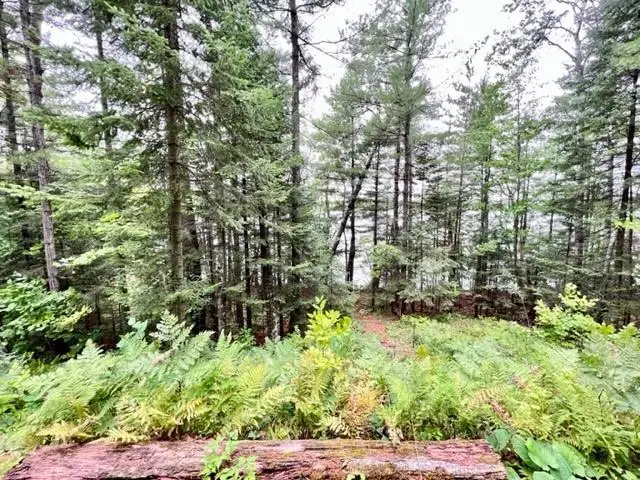 9102 County Road E, Hayward, WI 54843 - Image #3