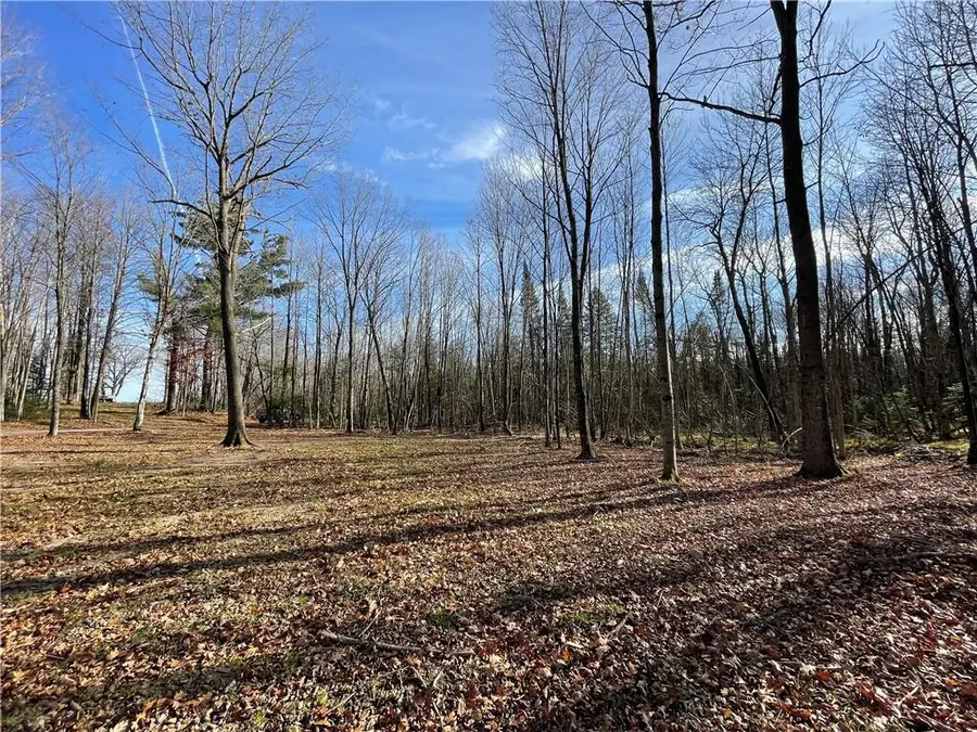 0 Willy Road, Weyerhaeuser, WI 54895 - Image #3