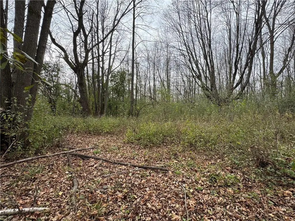 1410 Agnes Avenue, Ladysmith, WI 54848 - Image #1