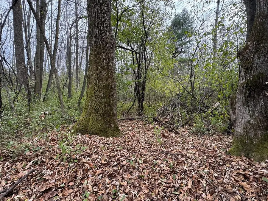 1410 Agnes Avenue, Ladysmith, WI 54848 - Image #3