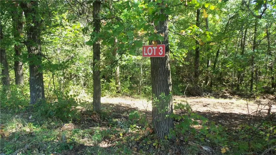 Lot 3 East River Rd, Grantsburg, WI 54840 - Image #2