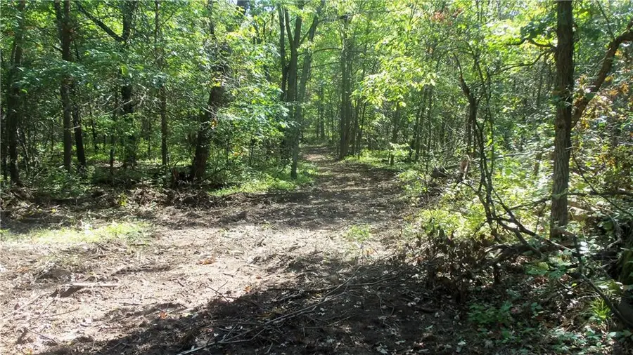 Lot 3 East River Rd, Grantsburg, WI 54840 - Image #3