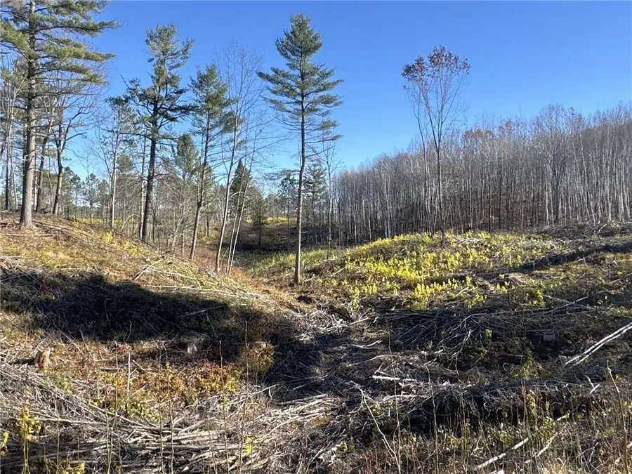 TBD Larsen Road, Hayward, WI 54843 - Image #2