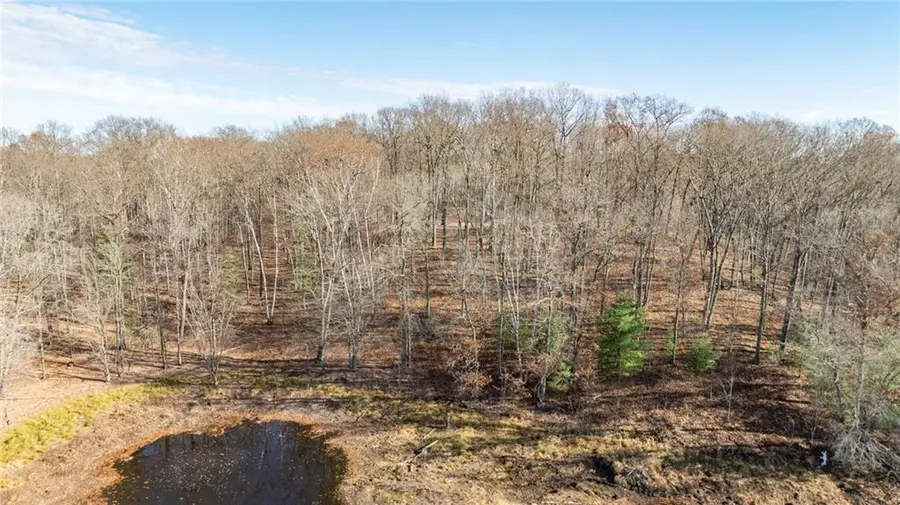 1.50 Acre on 290th Avenue, Holcombe, WI 54745 - Image #3