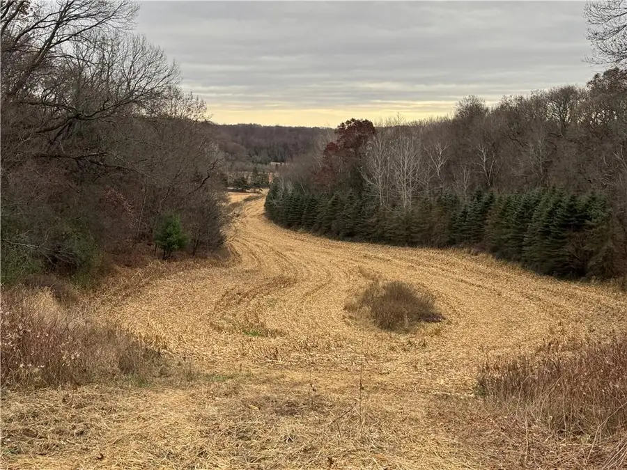 20796 W County OO, Strum, WI 54770 - Image #2