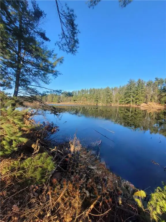 0 Lower Lake Dr, Merrillan, WI 54754