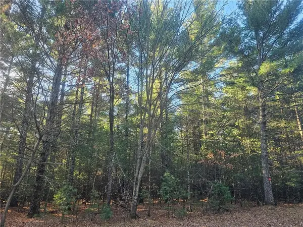 XXX Harmon Avenue, Grantsburg, WI 54840