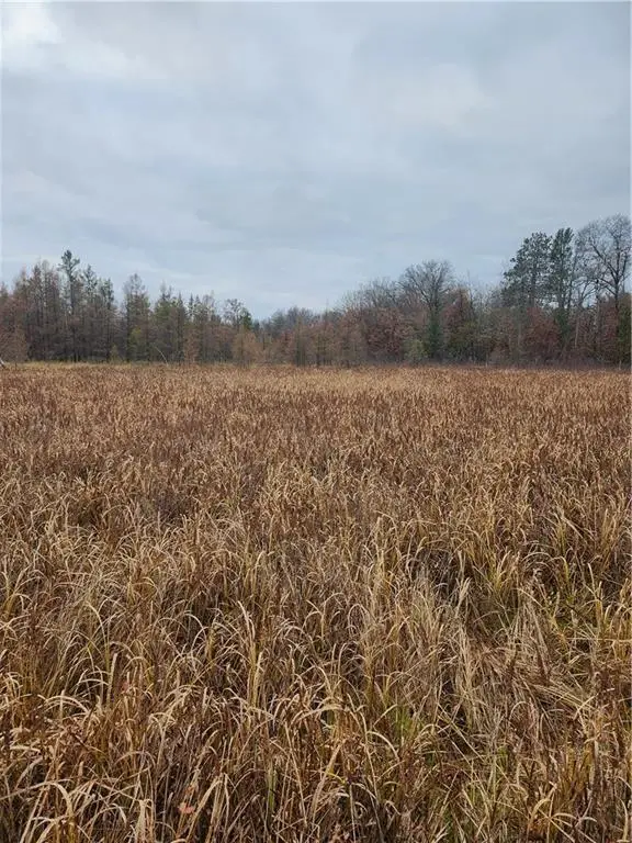 XXX County Road FF, Webster, WI 54893