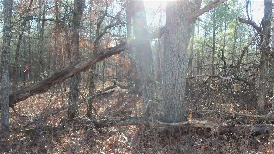 Lot 3 Ferry Rd, Grantsburg, WI 54840 - Image #3