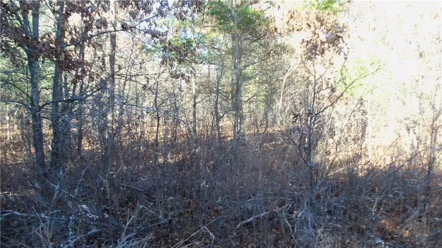 LOT 4 McLain Rd, Grantsburg, WI 54840 - Image #3
