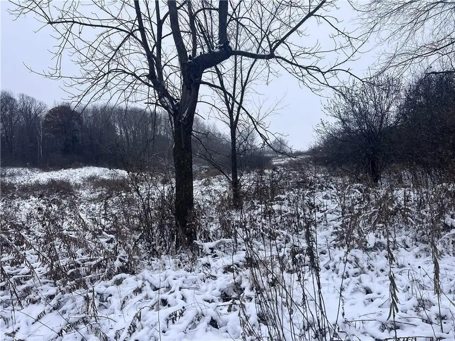 TBD Cty Line Avenue, Clear Lake, WI 54005 - Image #2