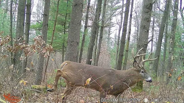 W10979 County Highway B, Humbird, WI 54746