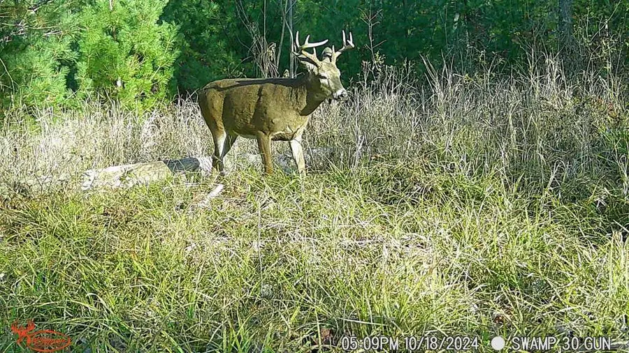 W10979 County Highway B, Humbird, WI 54746 - #2