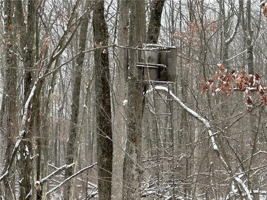 10221 HWY 73, Granton, WI 54436 - Image #3