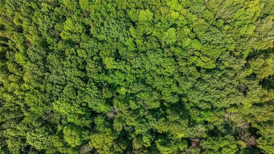 TBD 140th Avenue, Glenwood City, WI 54013 - Image #3