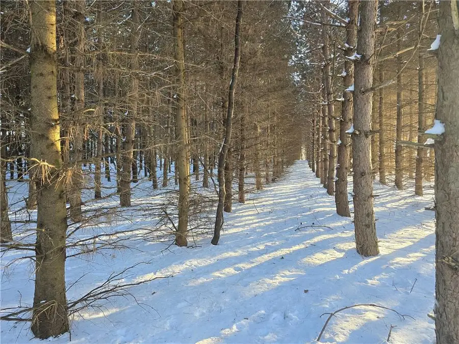 00 23rd Street, Chetek, WI 54728 - Image #3